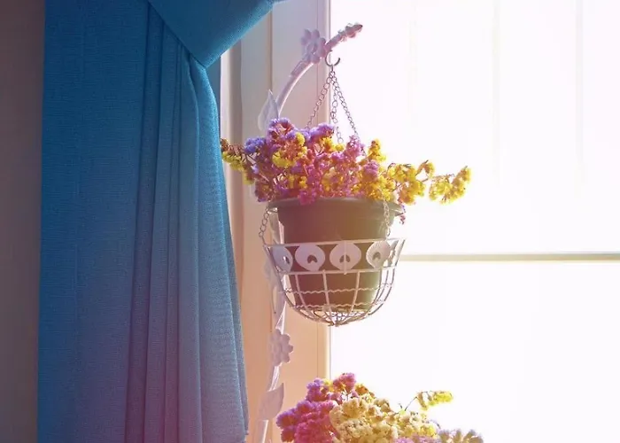 Bed & Breakfast F&g 4*